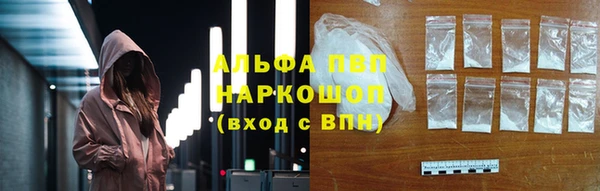 шишки Новокубанск