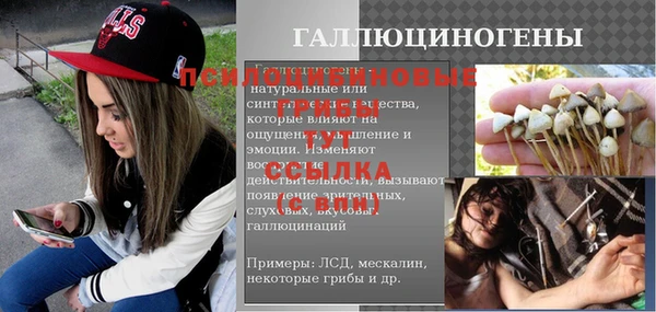 бошки Новодвинск