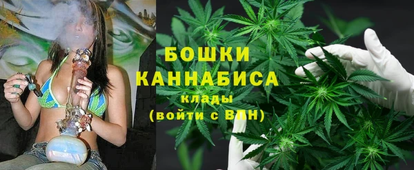 бошки Новодвинск