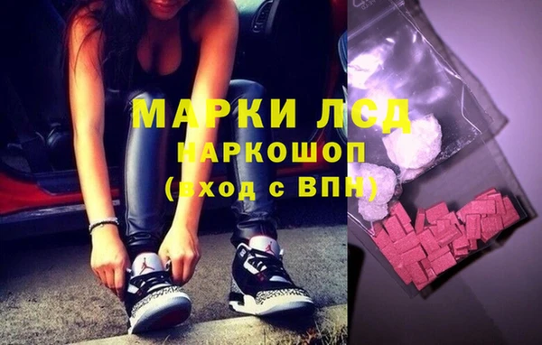 шишки Новокубанск