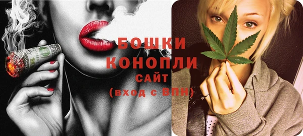 бошки Новодвинск