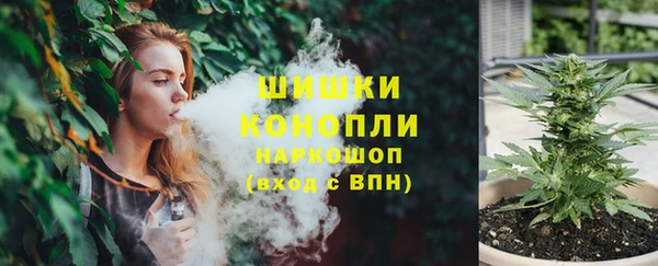 шишки Новокубанск