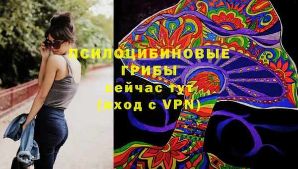 бошки Новодвинск