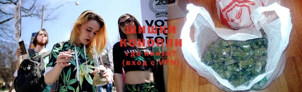 бошки Новодвинск