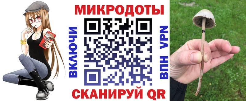 Псилоцибиновые грибы Magic Shrooms  Питкяранта 